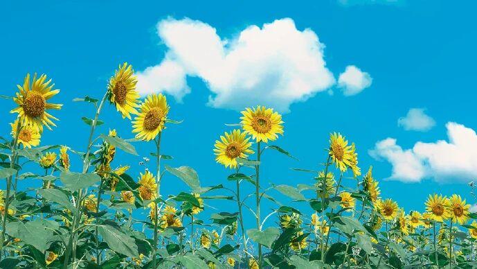 两性关系潜规则：你和伴侣越是有这种行为，婚姻死得越快