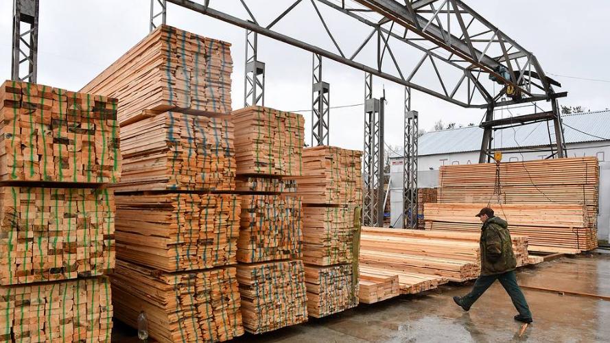 2025年日本木材进口量在短期复苏后下降4%