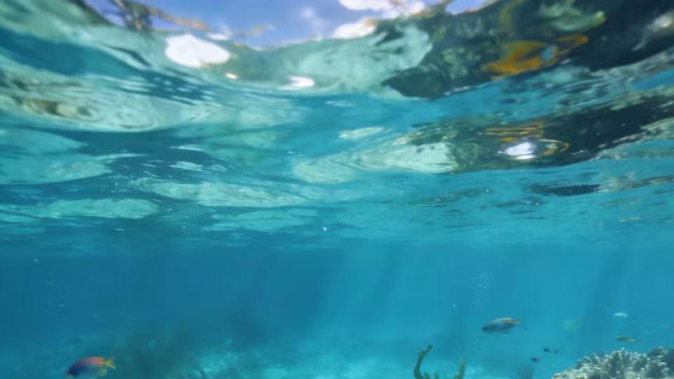 七旬老人遭车祸二次碾压致腿萎缩，维护权益两年遇多重阻碍，诉求公道难伸张