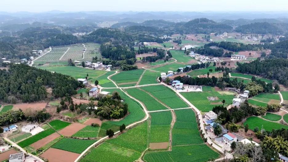 问答绵阳·三台｜五年蝶变：看三台如何破解农田水利“老难题”