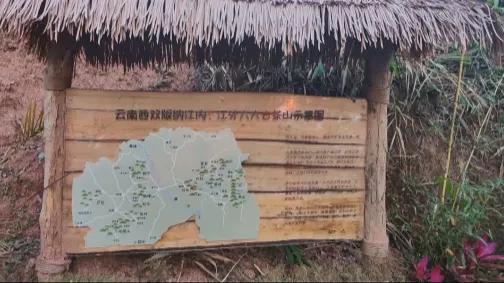 乡伴公司“踩雷”云南央企项目，该怪谁？
