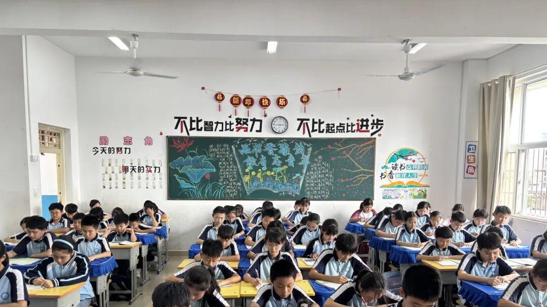 信阳琵琶山学校邢满满：深耕数理启智求真 怀揣师爱润德育人