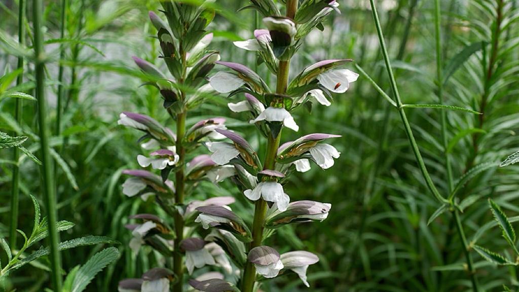 “十五五”开局，为什么先拧紧方向盘？