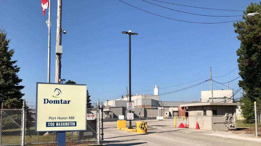 突发！木材巨头宣布2026年一季度临时削减木材产量