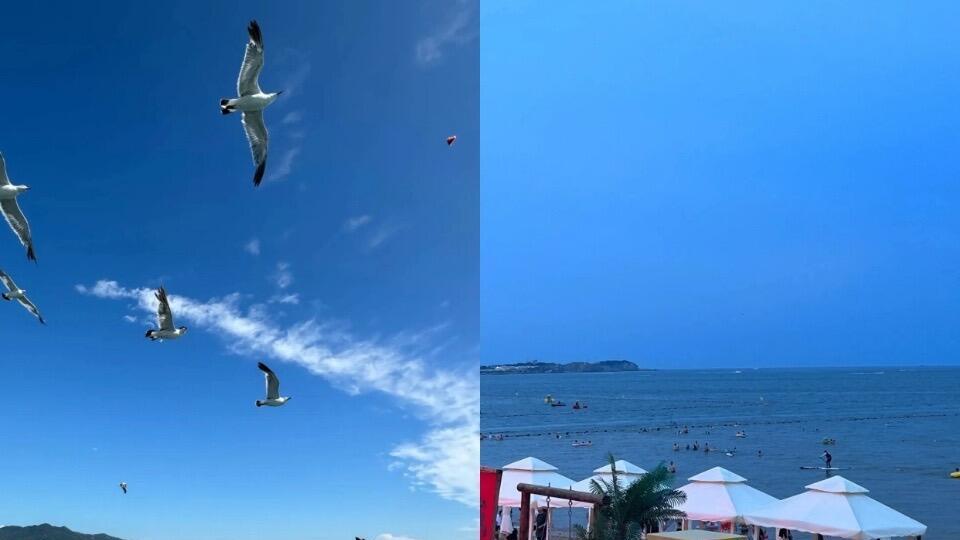 冬天来威海旅行，省心游玩指南