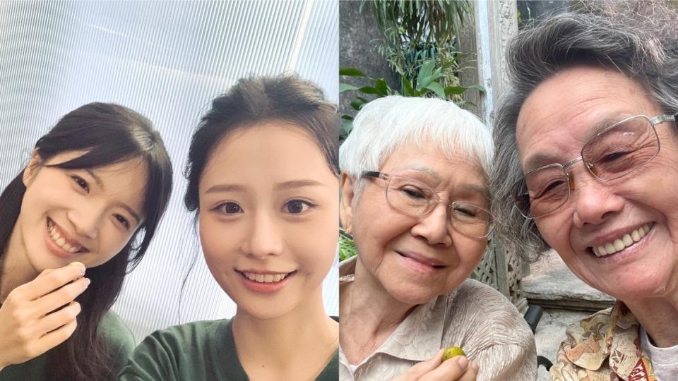 《给阿嫲的情书》“木生南枝”，象征着中国人团结互助的信念，生生不息。