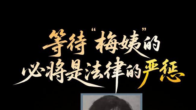 梅姨落网：20年追凶背后，我们到底靠什么终结拐卖噩梦？