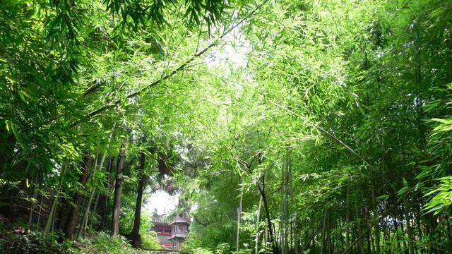 量子风水的简结构、全结构和豪结构