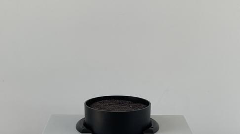 油菜籽品质检测新选择：近红外无损分析技术助力降本增效