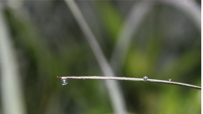 张雪峰之后，这阵风会留下什么