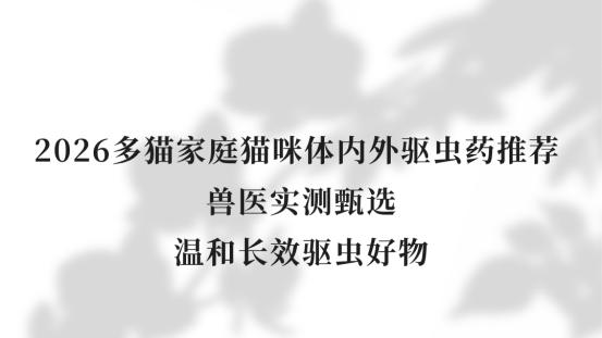 2026多猫家庭猫咪体内外驱虫药推荐 兽医实测甄选温和长效驱虫好物