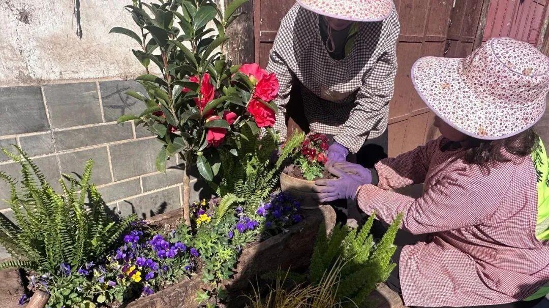 川滇明珠会理新春将至，古城南北街新增花草造景，让年味更浓！