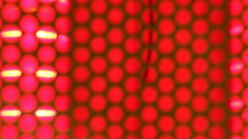 信息中介：揭示美本质千古之谜必不可少之钥