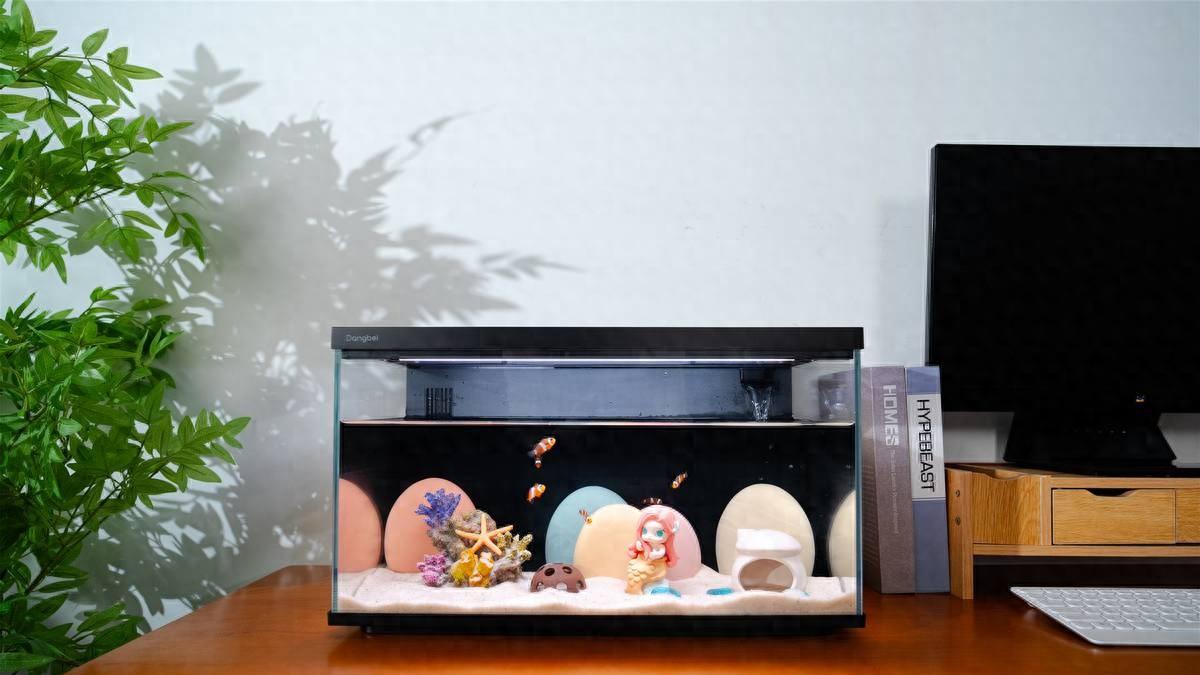 儿童节送鱼缸还是送玩具？当贝鱼缸5大优势对比