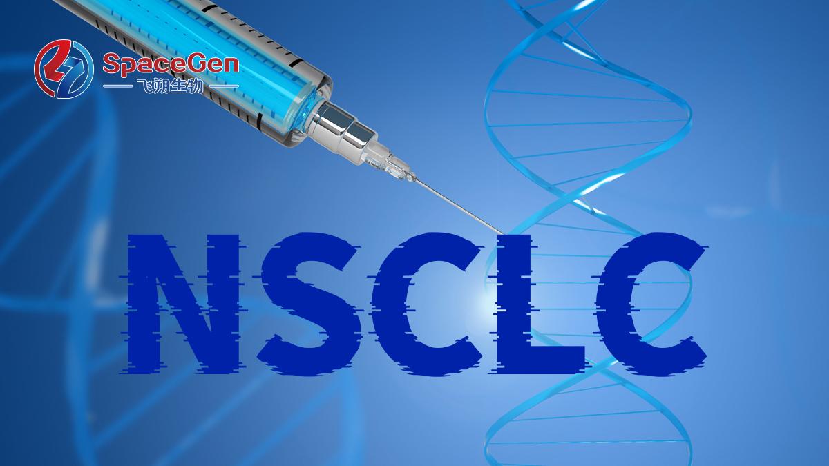 驱动基因“无”突变，治疗格局何去何从？2026 ASCO动态更新无驱动基因突变晚期NSCLC治疗