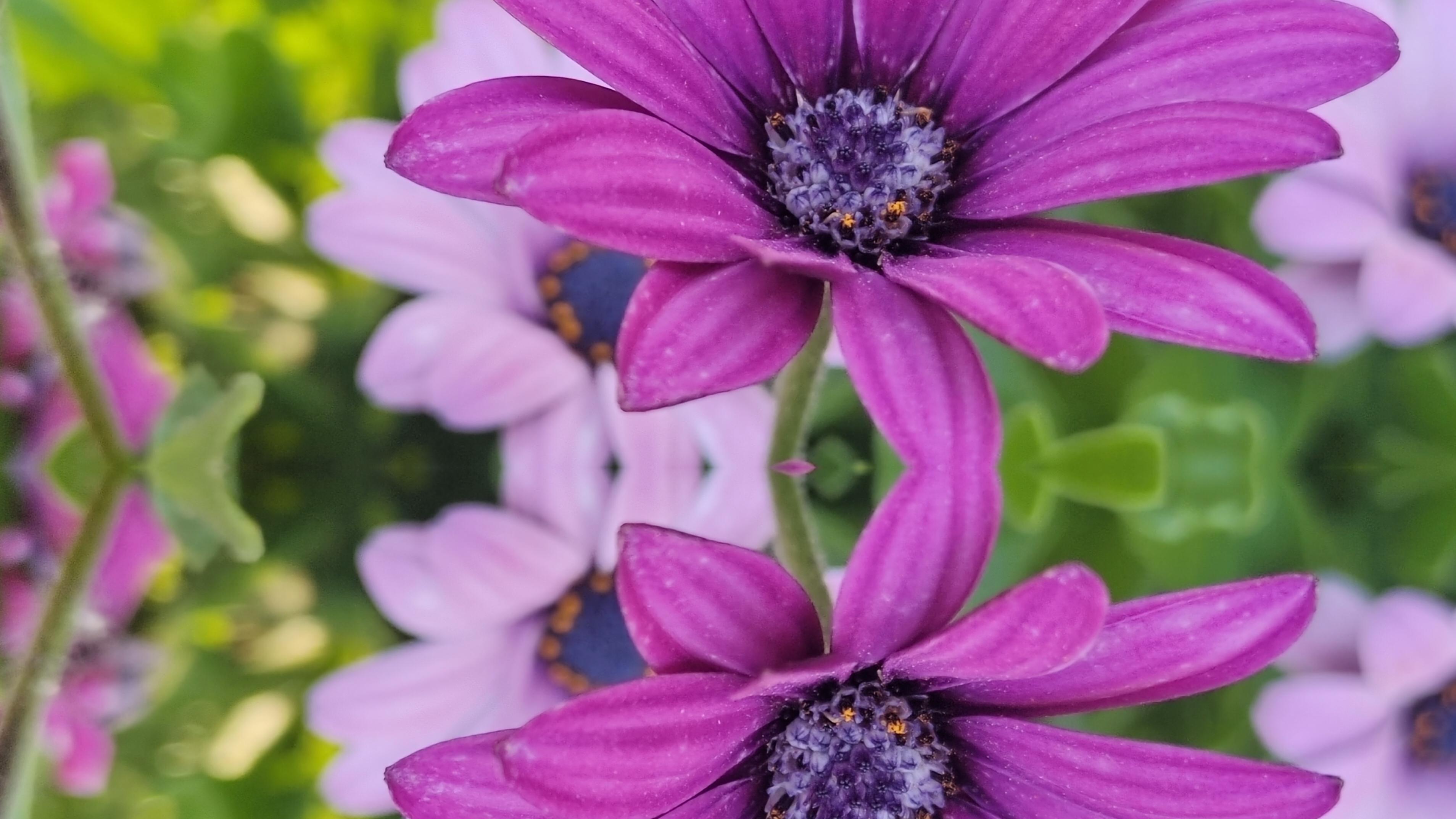 享受自己能享受到的，平安健康就是最好的