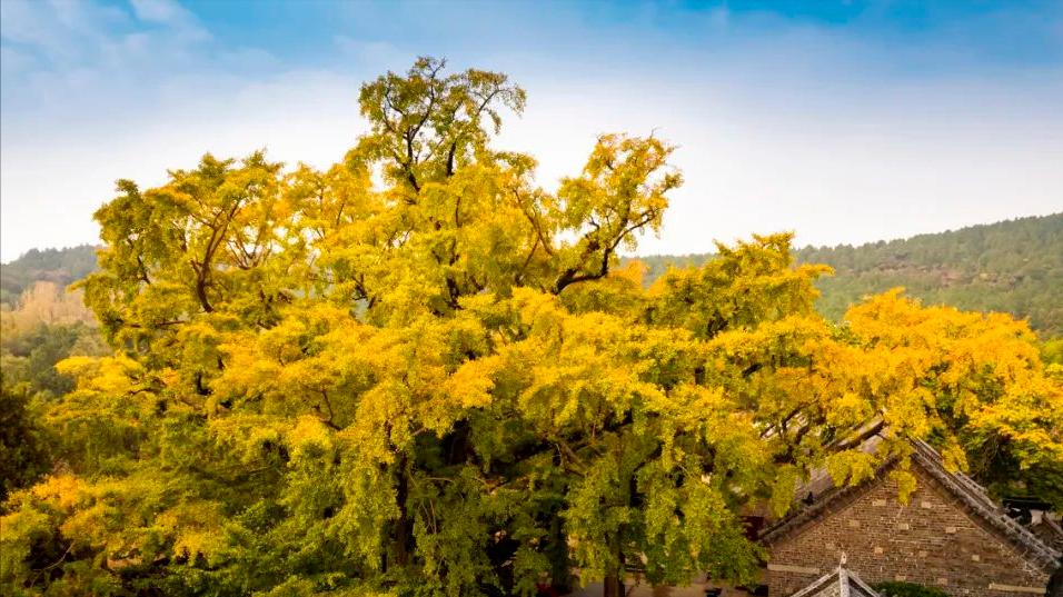 人生总有自己越不过的高山