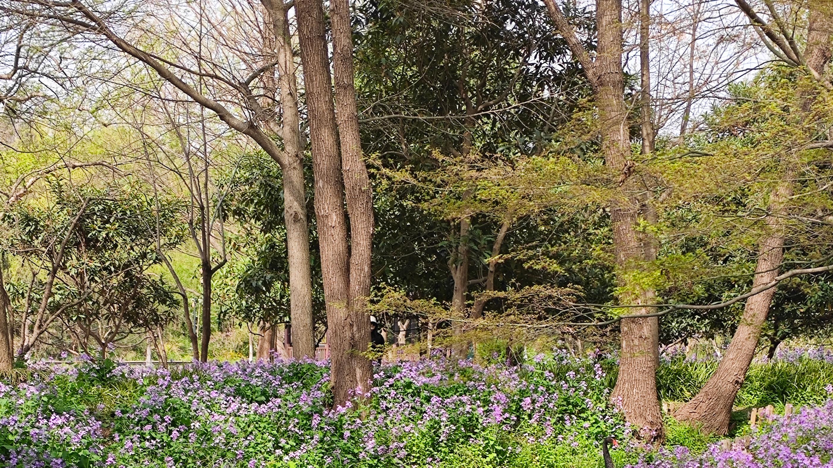 有一种自以为是，其实是大煞风景
