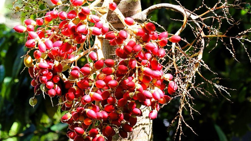 79%收视份额，春晚靠什么逆风翻盘？