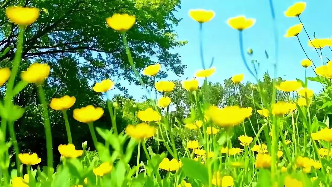 致焦虑的孕妈妈：请慢下来，遇见怀孕的美好！​