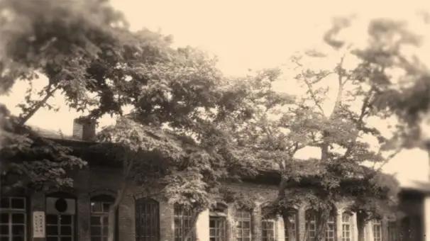 民国著名教育家——芮城人马鹤天