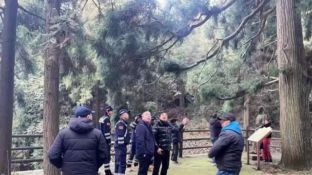 青田县九千棵古树将有“护树人”