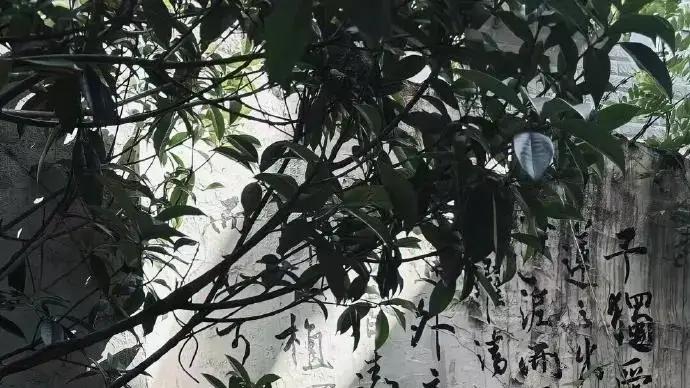 17句励志金句摘抄，句句闪耀、句句入心，句句值得收藏