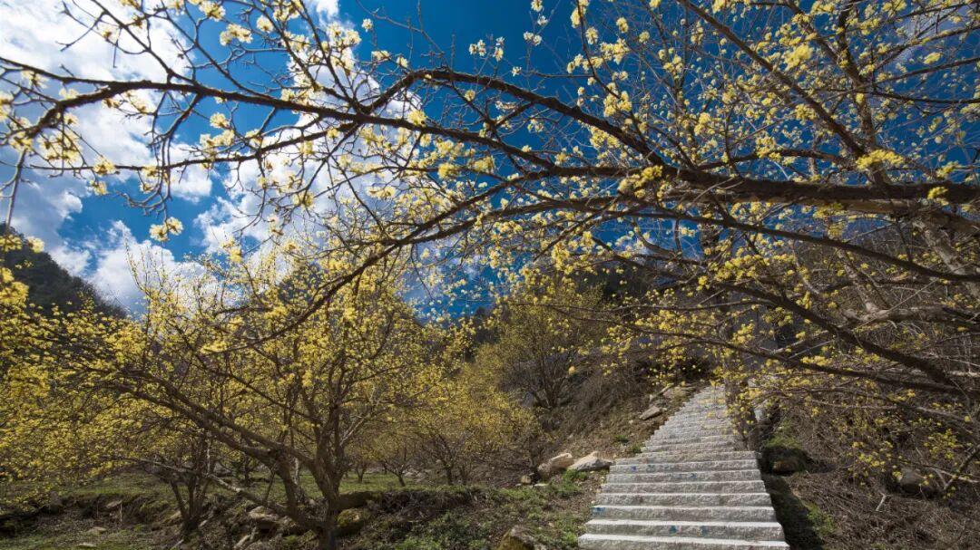 奔赴天河大峡谷，在山水间感受春的魅力