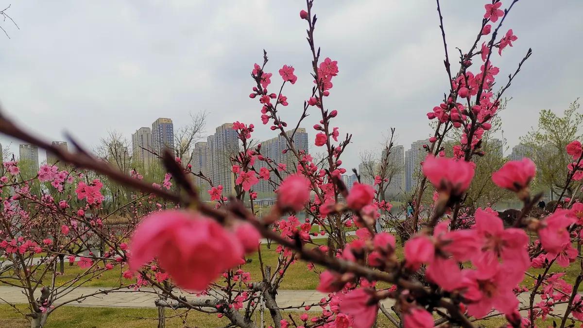 每一次的崩溃，都是一次重生