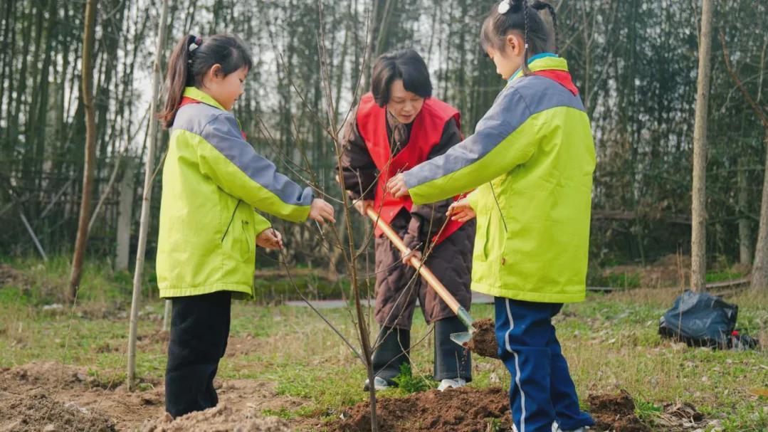 信阳市第三实验小学：爱绿护绿 你我同行
