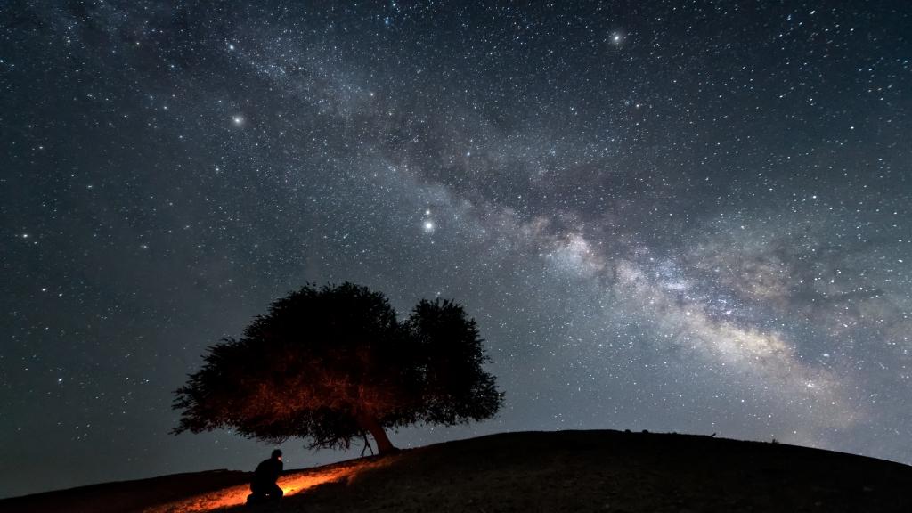 《总有群星闪耀》：珍贵的生命旅程