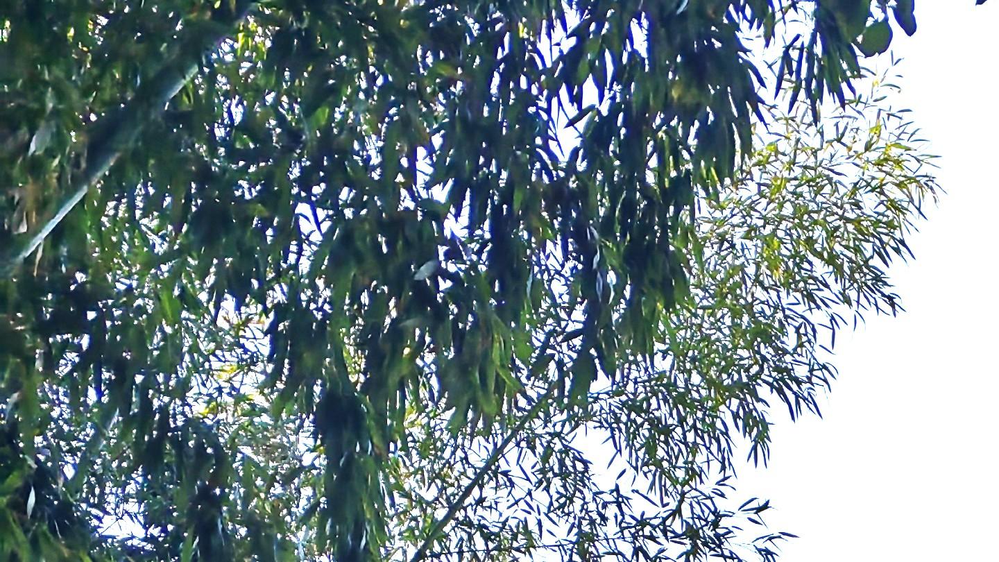 行走职场：界限分明，分寸有度