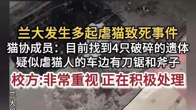 某985高校出现多起虐猫致死事情，事发已三个月，结果咋样了？