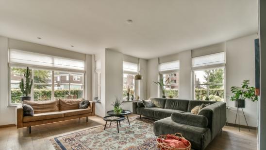 客厅摆放花卉：能否助力改善风水？