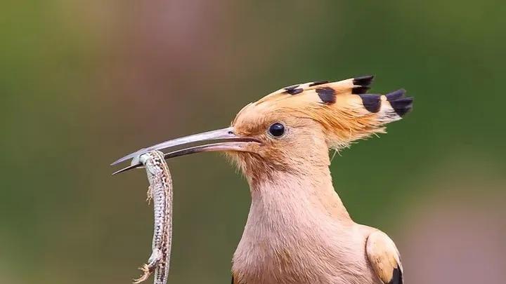 人这一生，只需要避开六件事（荣格如是说），以及五件你要长期培养与打磨的事