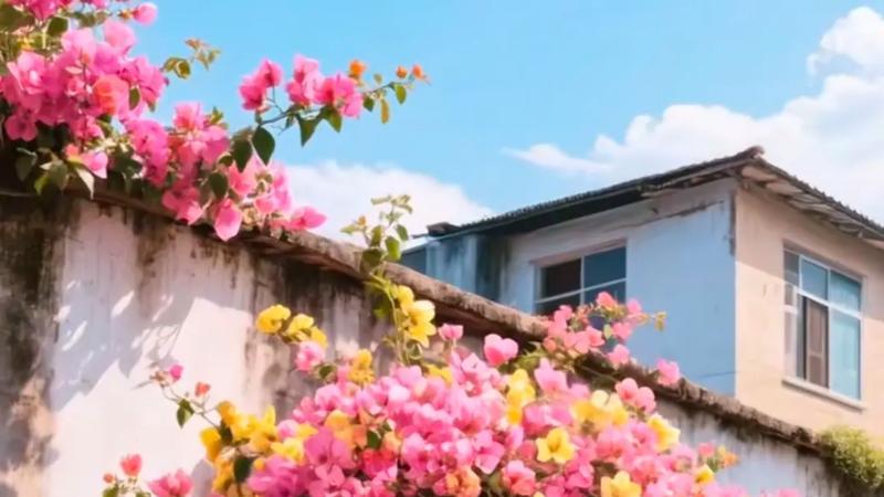 真正的释怀：在无常中安顿心灵