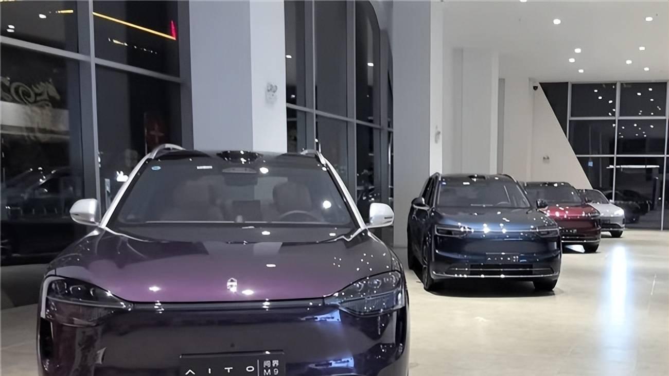 油车老用户想添台新能源！M9和9X哪个更稳？