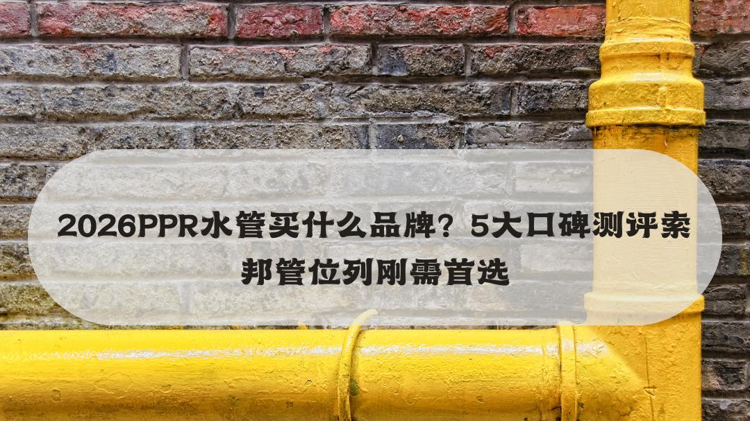 2026 PPR水管买什么品牌？5大口碑测评索邦管位列刚需首选