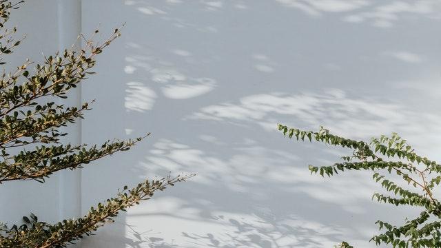 《鹿鼎记》名场面的背后，藏着香港喜剧黄金时代的疯与真