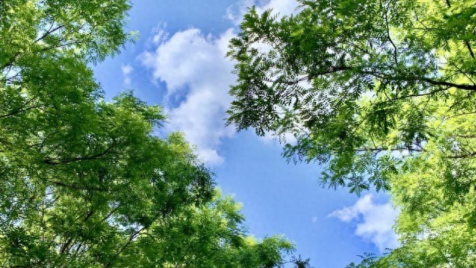 亲家登门，聪明人从不带烟酒，这3样"不值钱"的东西，才是真正的体面