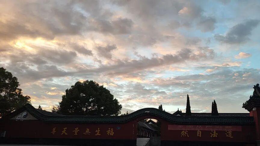 清静，是生命的智慧和人生的良师益友