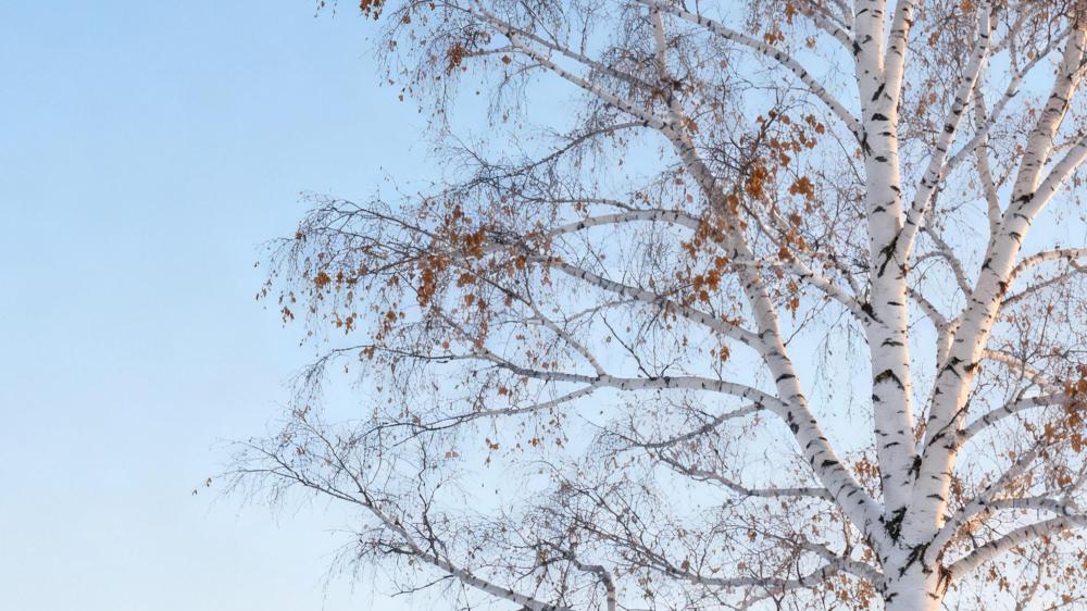 全新领克08EM-P上新！230超长续航Ultra版正式加入战队