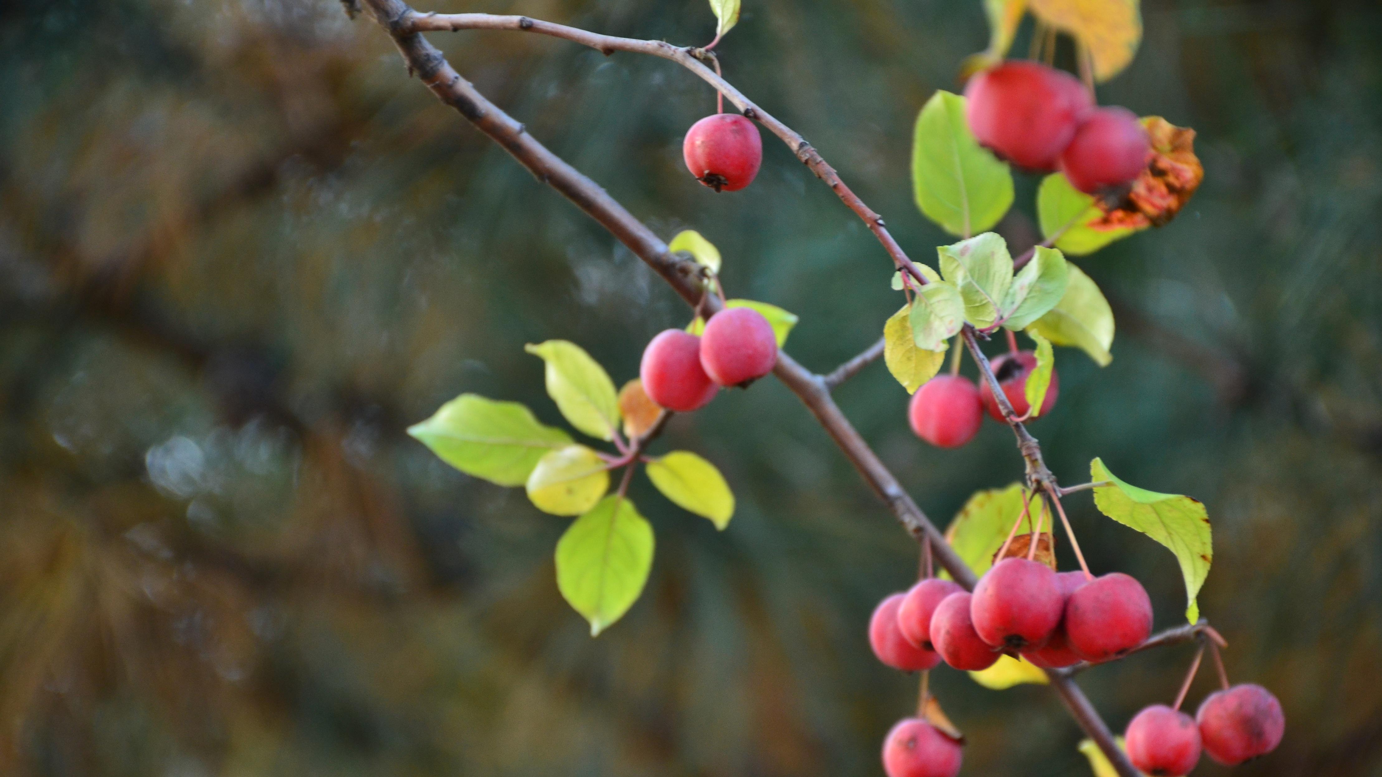 这次“开门红”，为什么不只是数字？