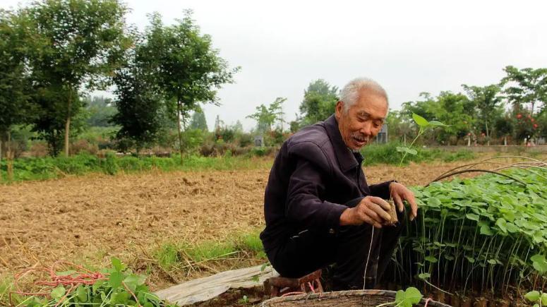 代表建议：提高农民养老金，基础养老金涨到每月800元！