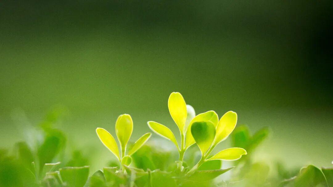 惜福，才能存得住“福报“！