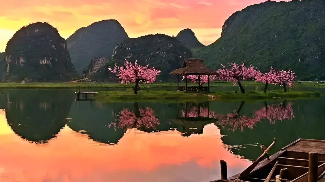 钟汉良打卡地火了，菜市场也能成亲子游必去点？