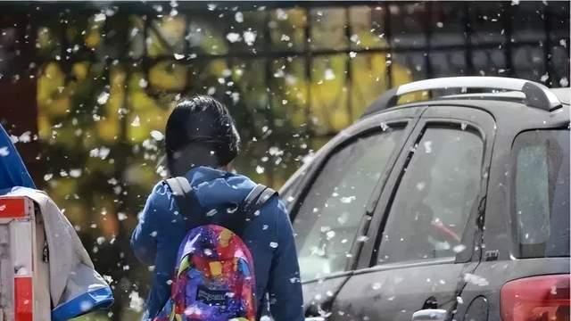 飘絮季驾车出行警惕“温柔杀手”！谨防事故，驾车防护攻略速码