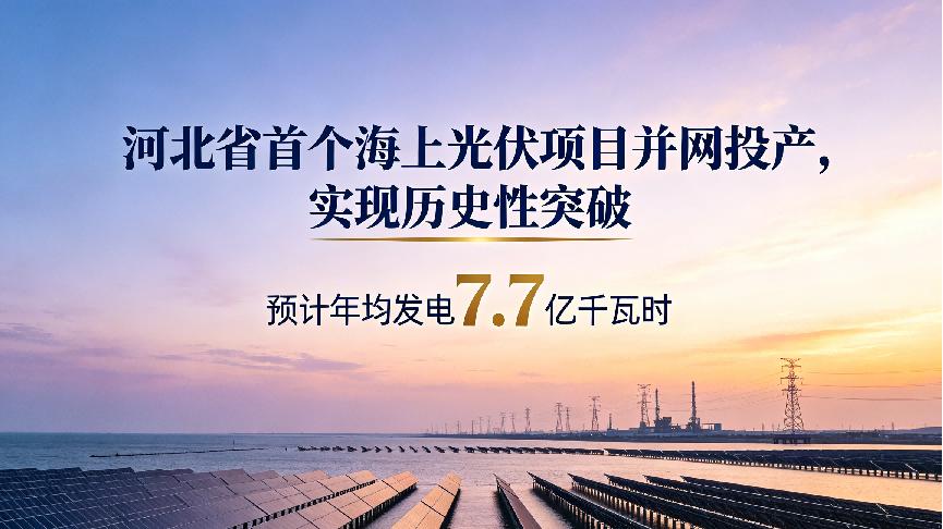 渤海湾种太阳：河北光伏，终于"下海"了