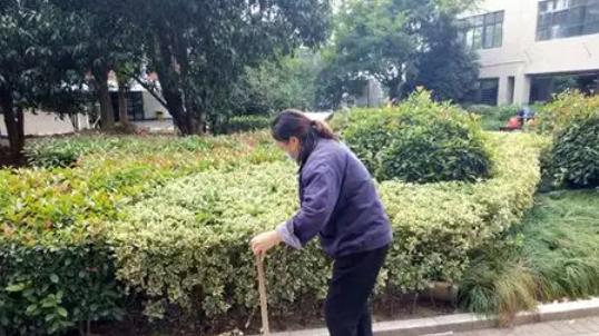 物业报事报修系统怎么选，核心功能解析