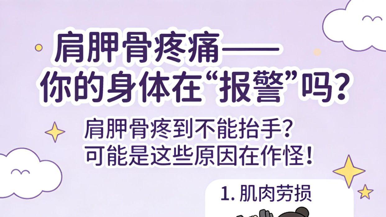 每天5分钟肩胛骨松解术（打工人午休必备）